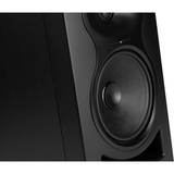 Monitor Profesional para estudio -  6.5¨ 80 Watts (negro)